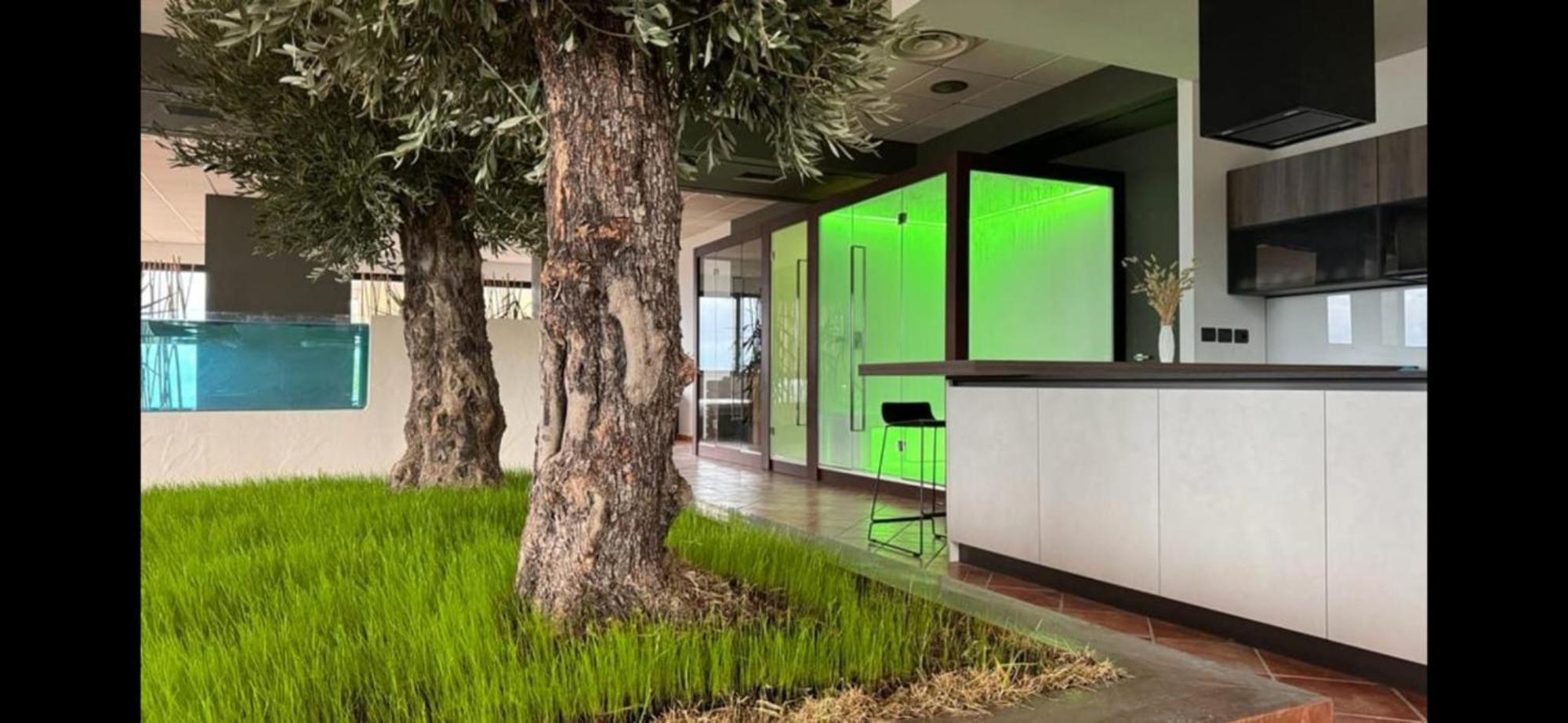Bellavista Suite Spa Staffolo ภายนอก รูปภาพ